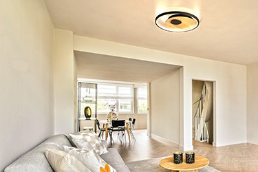 Camera de zi Camera de zi