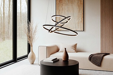 Camera de zi Camera de zi